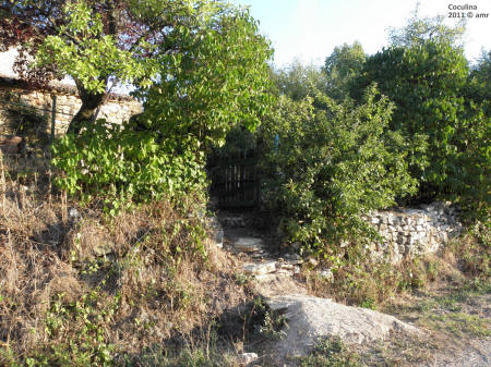 P9109519.JPG (715537 bytes)