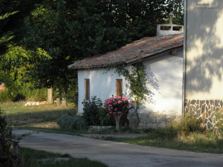 P9109523.JPG (623695 bytes)