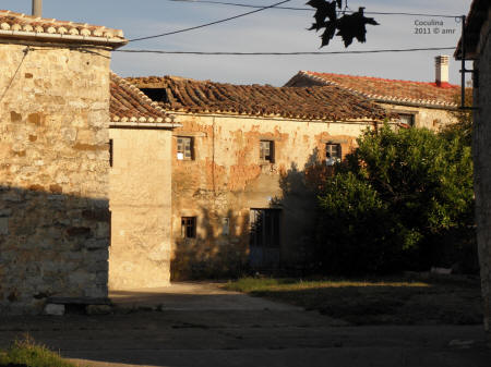P9109538.JPG (612978 bytes)