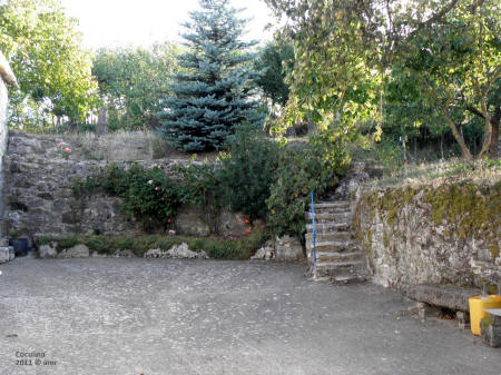P9109547.JPG (723581 bytes)