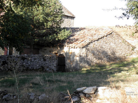 P9109550.JPG (690583 bytes)