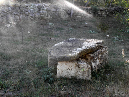P9109551.JPG (738129 bytes)