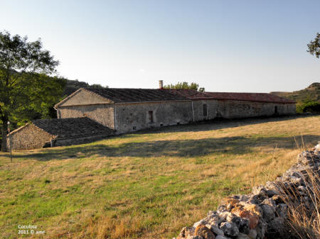 P9109579.JPG (613003 bytes)
