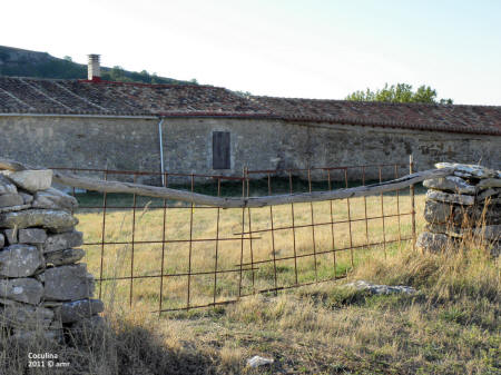 P9109580.JPG (659639 bytes)