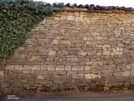 P9109588.JPG (674672 bytes)