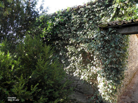 P9109592.JPG (714811 bytes)