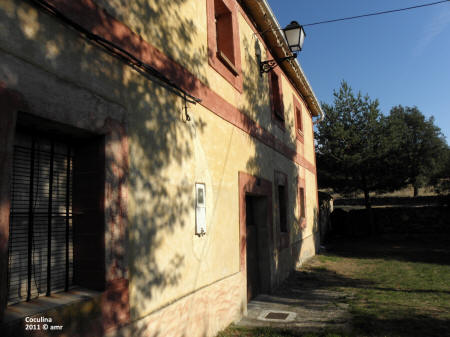 P9109593.JPG (619998 bytes)