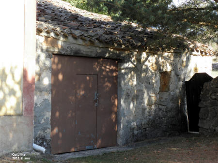 P9109596.JPG (631156 bytes)
