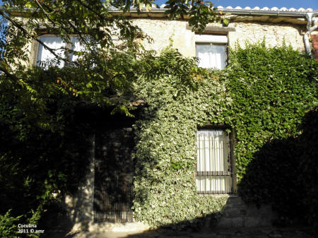 P9109597.JPG (731759 bytes)