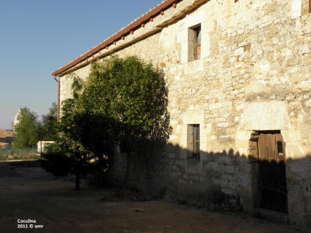 P9109599.JPG (643474 bytes)