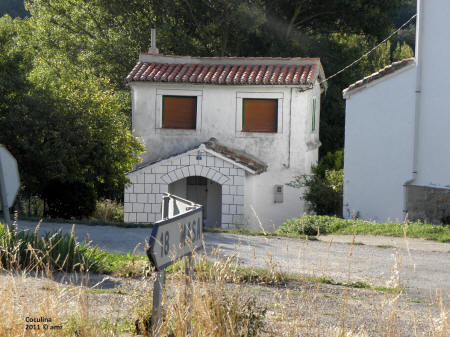 P9109602.JPG (655688 bytes)