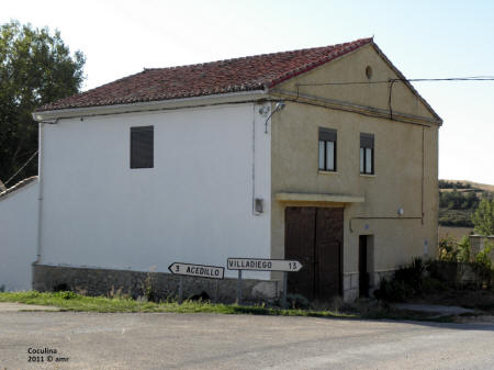 P9109603.JPG (558233 bytes)