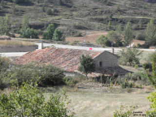 P9109673.JPG (690116 bytes)