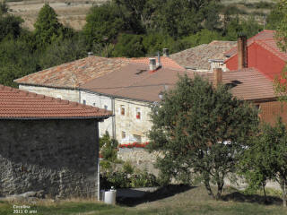 P9109676.JPG (699774 bytes)