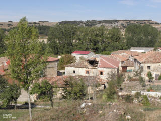 P9109677.JPG (619690 bytes)