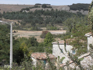 P9109697.JPG (686370 bytes)