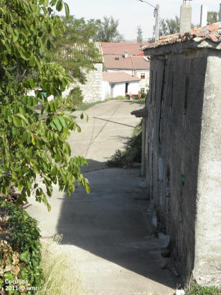 P9109699.JPG (627735 bytes)