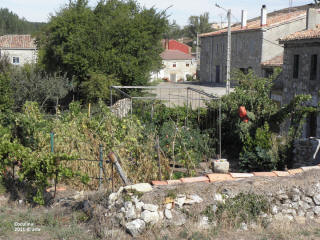 P9109700.JPG (660430 bytes)
