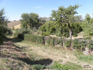 P9109716.JPG (620146 bytes)
