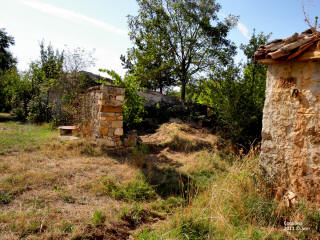 P9109728.JPG (766399 bytes)