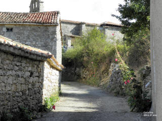 P9109735.JPG (639679 bytes)