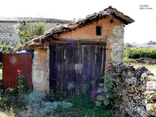 P9109767.JPG (689351 bytes)