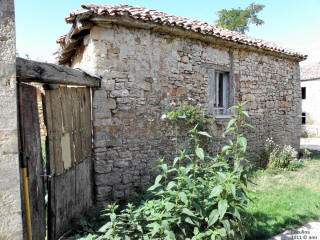 P9109770.JPG (729790 bytes)