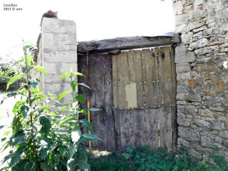 P9109771.JPG (778215 bytes)