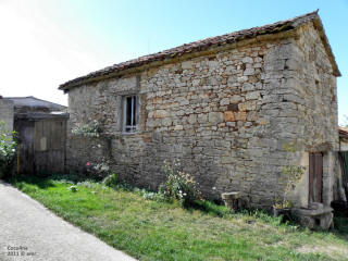 P9109774.JPG (643979 bytes)