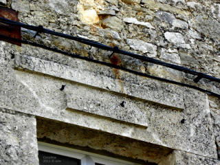 P9109788.JPG (802657 bytes)