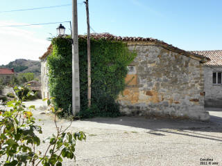 P9109842.JPG (684386 bytes)