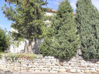 P9109847.JPG (717574 bytes)