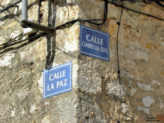 P9109849.JPG (685350 bytes)