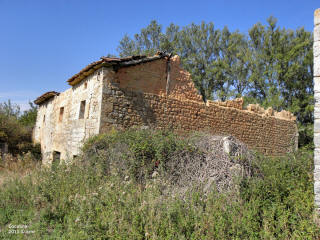 P9109862.JPG (710047 bytes)