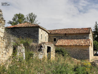 P9109867.JPG (648013 bytes)