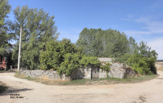 P9109874.JPG (526369 bytes)