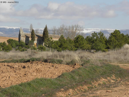 P3054945.JPG (470136 bytes)