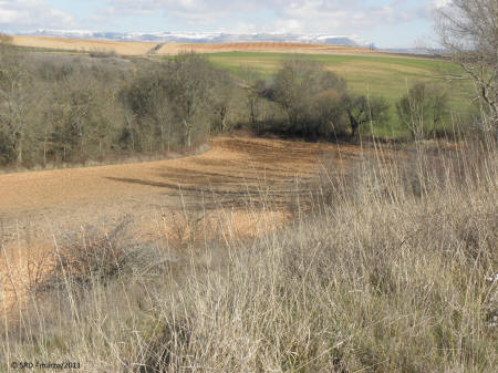 P3054962.JPG (507381 bytes)