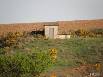 P5026413.JPG (470750 bytes)