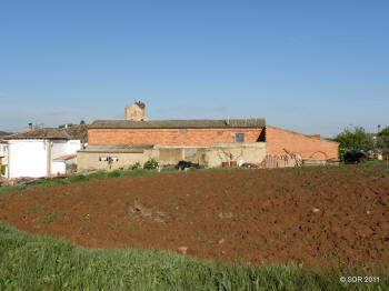 P5026421.JPG (491585 bytes)