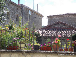 DSCN1214.JPG (290143 bytes)