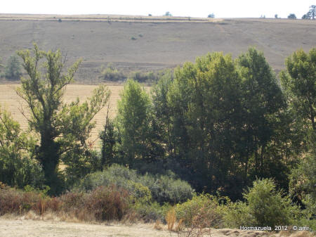 DSCN1250.JPG (265870 bytes)