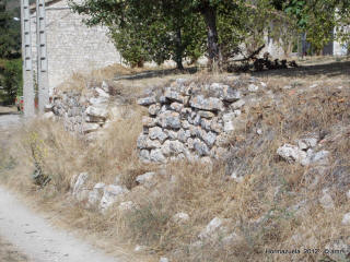 DSCN1254.JPG (277665 bytes)