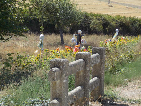 DSCN1308.JPG (260731 bytes)