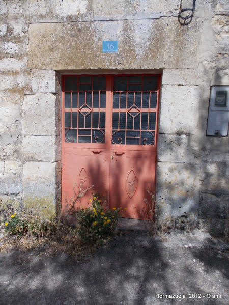 DSCN1263.JPG (250481 bytes)