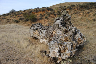 _DSC0214.JPG (576829 bytes)