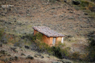 _DSC0233.JPG (589959 bytes)
