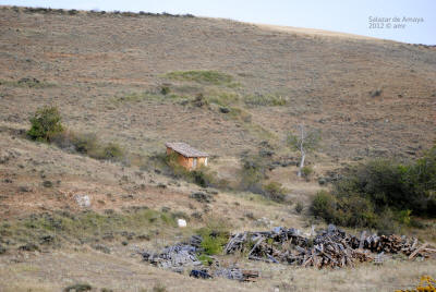 _DSC0234.JPG (516941 bytes)