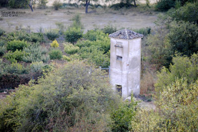 _DSC0238.JPG (573940 bytes)
