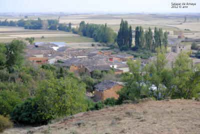 _DSC0250.JPG (518836 bytes)